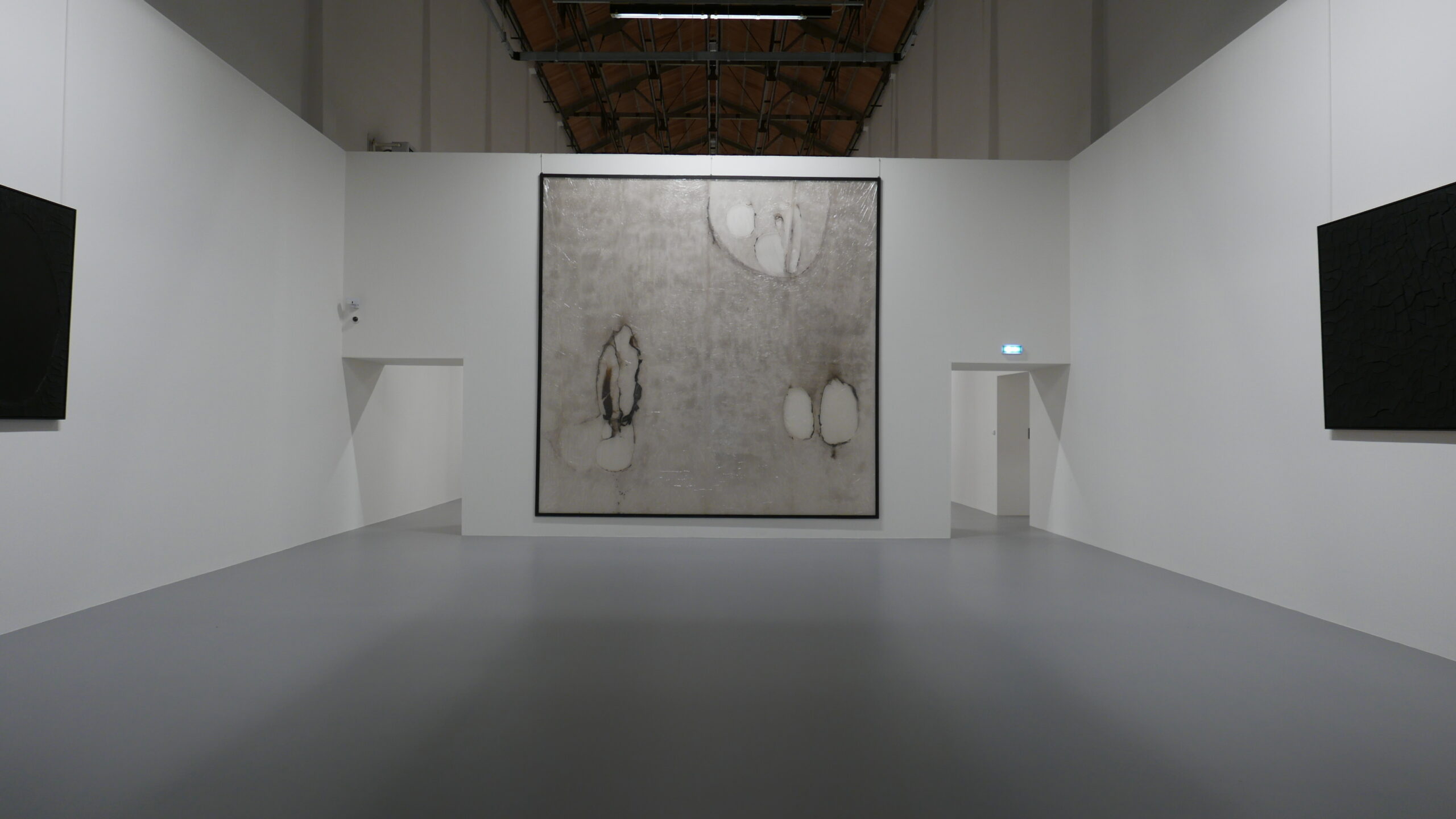 Burri