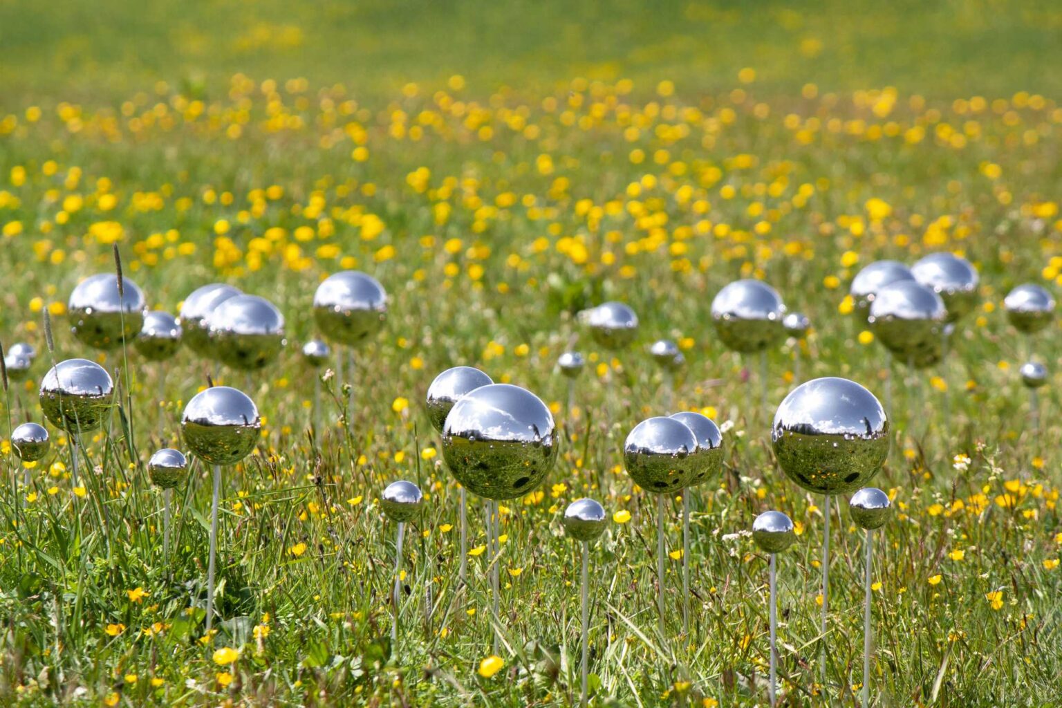 Stefano Caimi, FairyRing, 2023, ph. credit dell_artista e ORMA