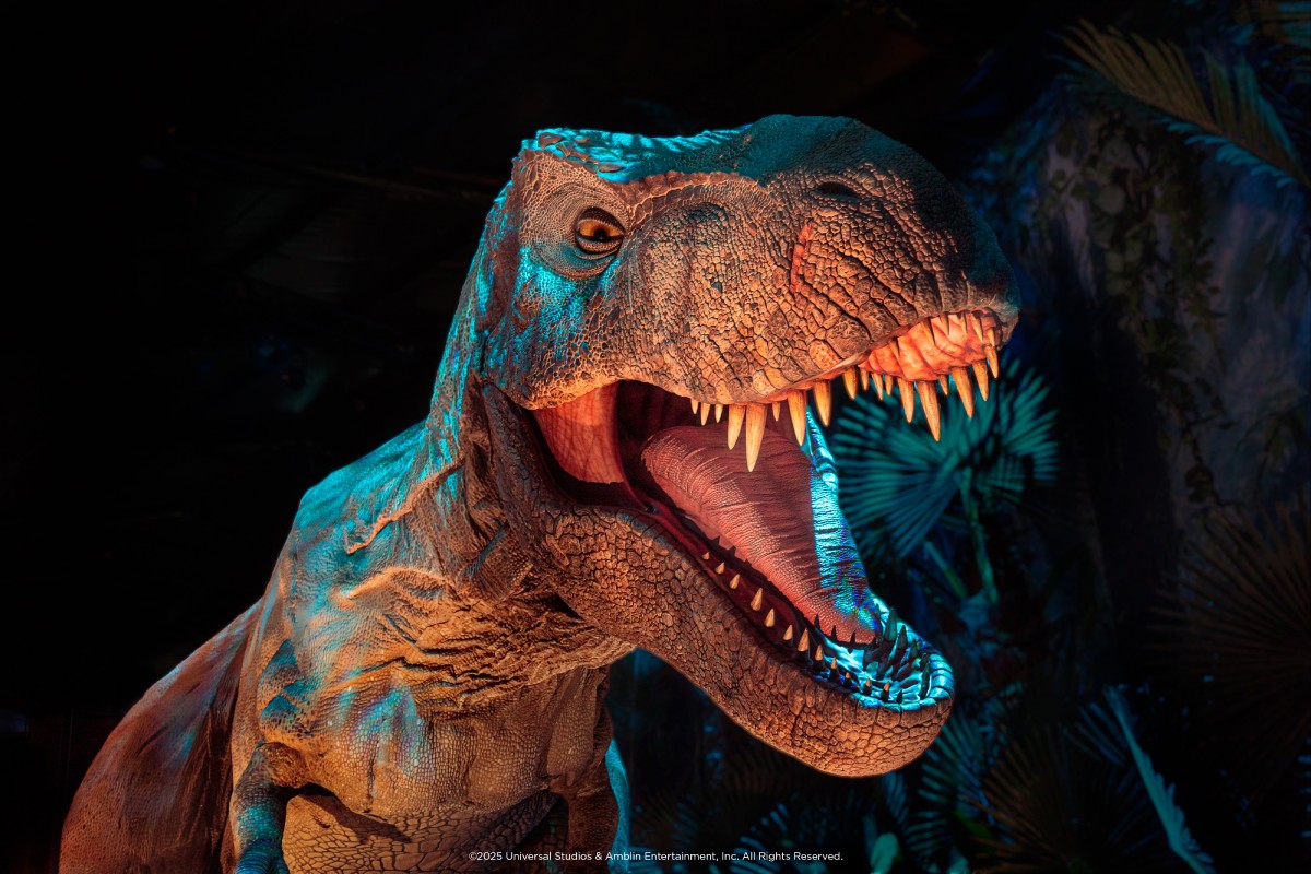 Exhibition view, Jurassic World The Experience ©2025 Universal Studios & Amblin Entertainment, Inc. All Rights Reserved. Courtesy ufficio stampa Alveare Produzioni
