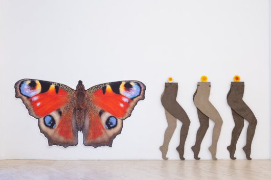 Anthea Hamilton, Soft You, Installation view, Fondazione Memmo, Roma © Daniele Molajoli