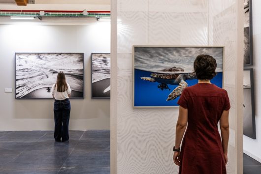 Installation view, Cristina Mittermeier, La grande saggezza, Castello di Brescia, 2026, foto Marco de Luca per Fondazione Brescia Musei