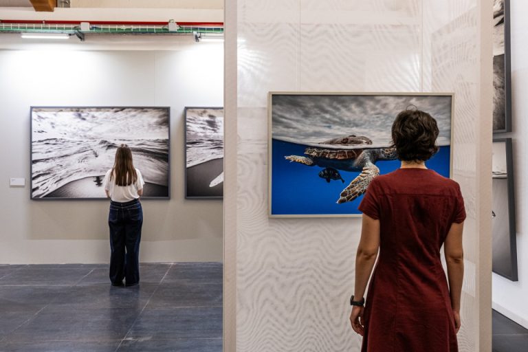 Installation view, Cristina Mittermeier, La grande saggezza, Castello di Brescia, 2026, foto Marco de Luca per Fondazione Brescia Musei