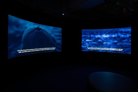 Installation view, mostra di Charmaine Poh, Deutsche Bank “Artist of the Year” 2025 MUDEC ©julehering