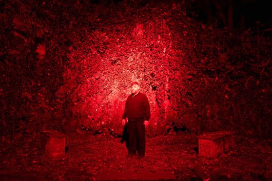 Jacopo Benassi, installation view, Immagine di luce, 2026, ph Francesco Capitani, courtesy of Associazione VIA