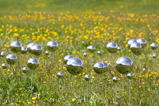 Stefano Caimi, FairyRing, 2023, ph. credit dell_artista e ORMA